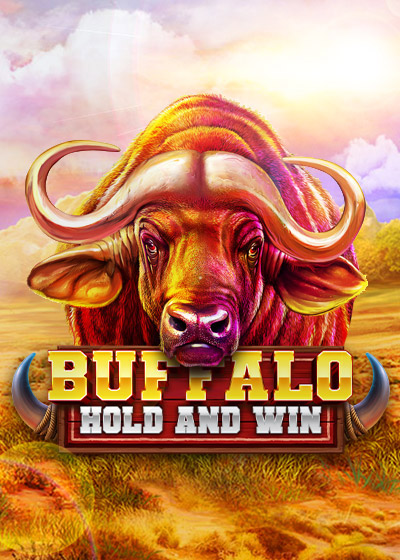 Buffalo Hold and Win